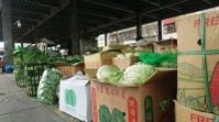 梅雨剛結束一周，復耕蔬菜仍未上市，彰化溪湖果菜市場到貨量少，交易均價回到每公斤30元。記者簡慧珍╱攝影